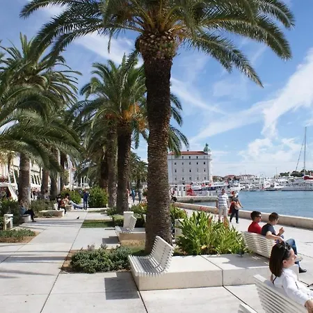 Jass Next To Mall Of * Split